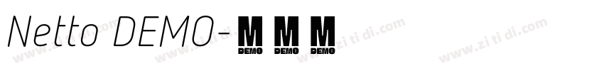 Netto DEMO字体转换